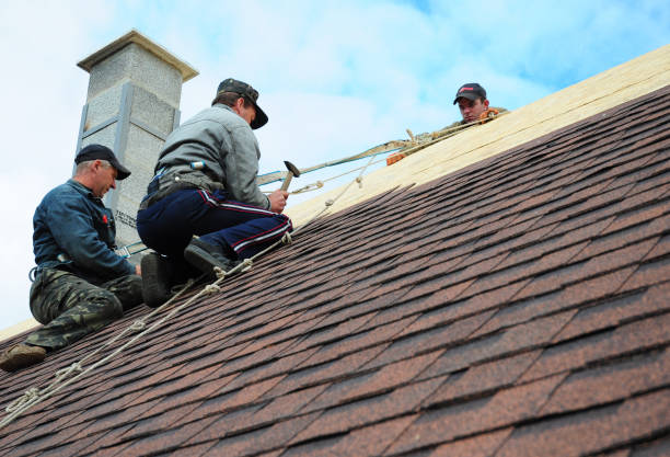 Best Roof Gutter Cleaning  in San Saba, TX